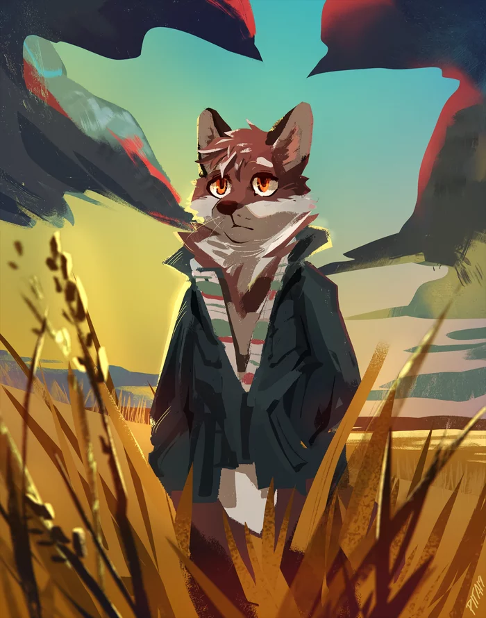 Sunset - Furry, Furry art, Furry canine, Coyote, Cercat