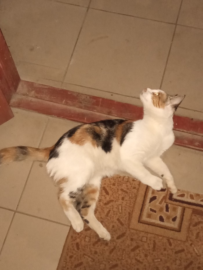  ! , , , -,   ,  ,  