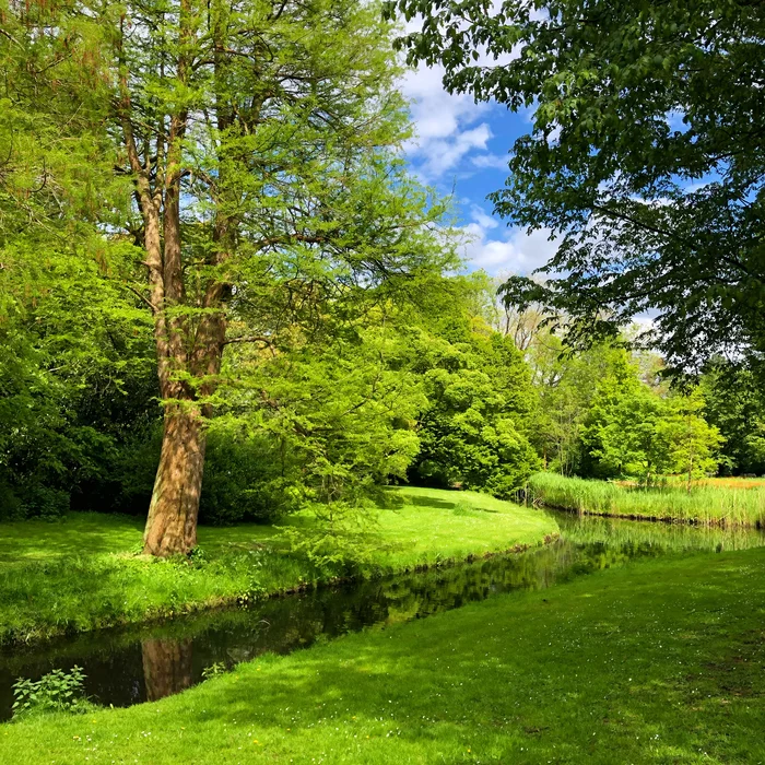 A park in Amsterdam looks like it's from Tolkien's universe - Netherlands (Holland), Amsterdam, Shire