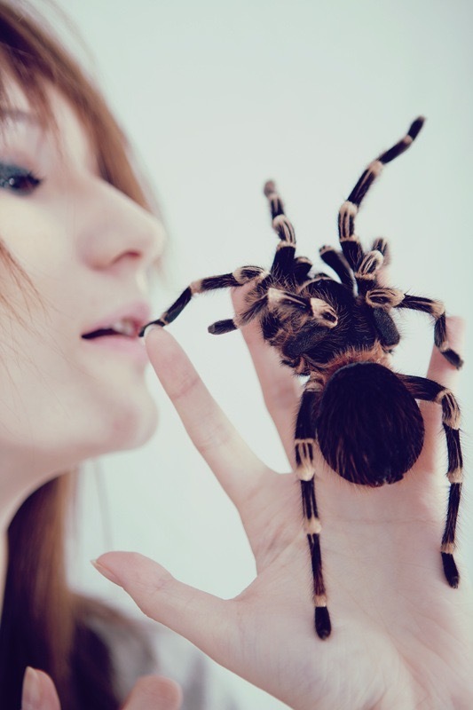 Arachnophobia mode. Фотосессия с пауком. Девушка паук. Фотосессия с пауком птицеедом.