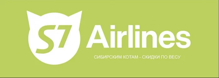 Fly with your cats without problems - cat, Fat cats, Aviation, Longpost