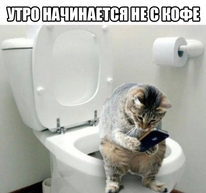 Утро начинается.... - С чего начинается утро, Кот, Туалетный юмор