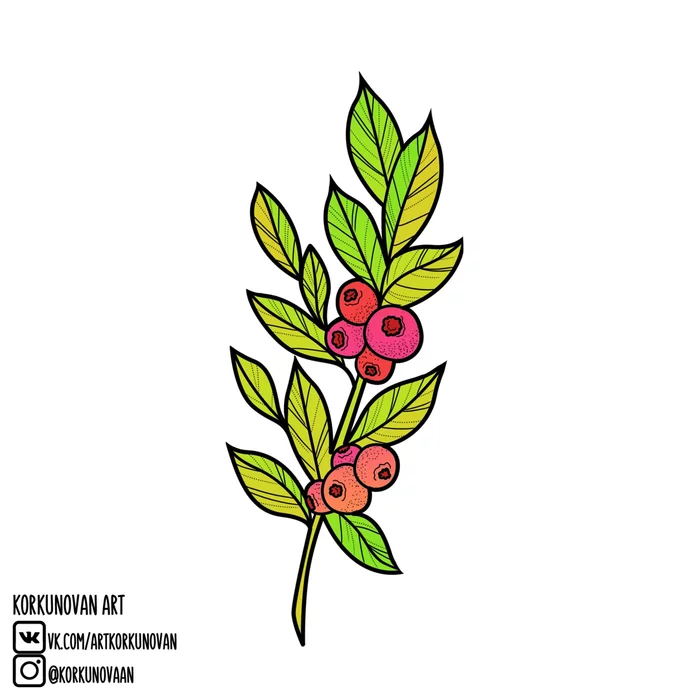 juicy twig - My, Digital drawing, Berries, Leaves, Art, Sketch, Korkunovan