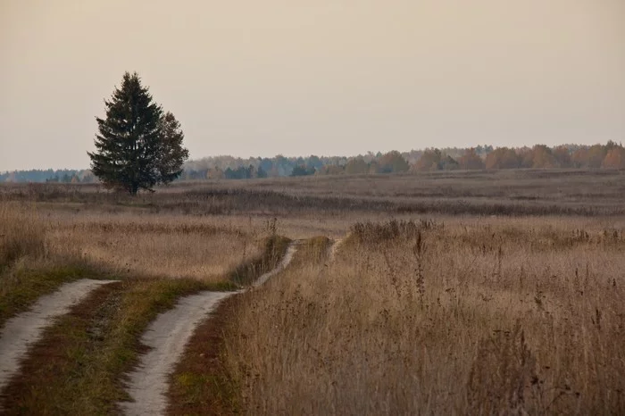 Burning October - My, Autumn, Canon 500D, Smolensk region