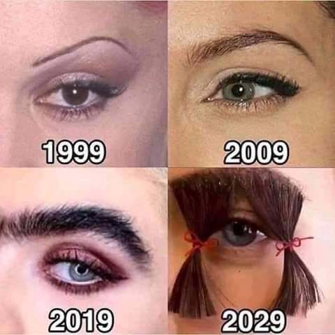 Evolution - Evolution, Brows, Humor, From the network