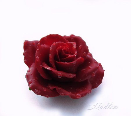 Bloom...brooch with a rose in drops of dew, a talisman created in Co'Creativity - My, Creation, Flowers, Brooch, Handmade, Polymer clay, Needlework without process, the Rose