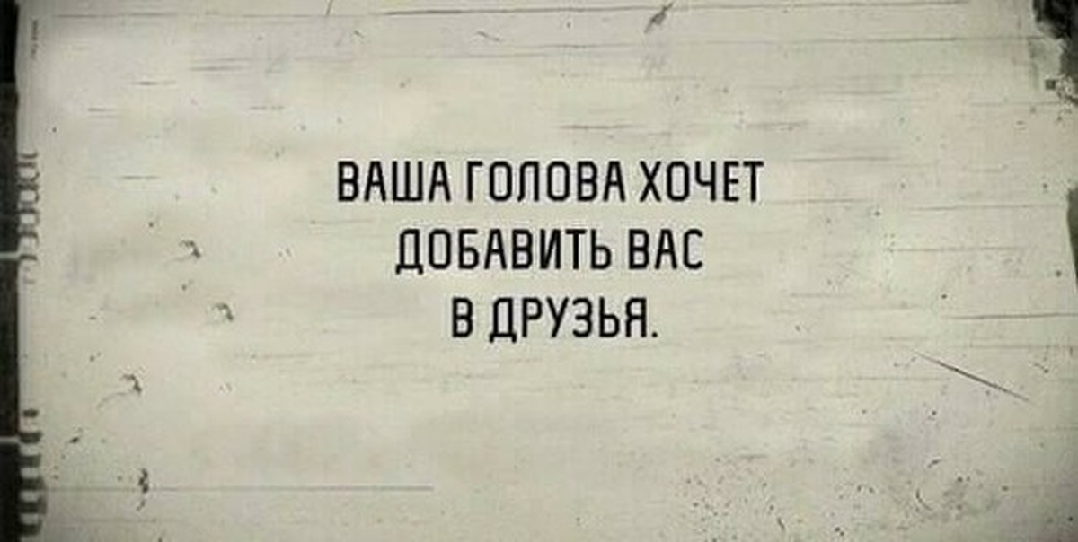 Голова хочу. Ваша голова хочет добавить вас в друзья. Ваша голова хочет добавить вас в друзья картинки. Психбольница хочет добавить в друзья. Приколы ваша голова хочет добавить вас в друзья.