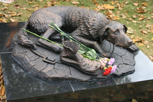 A monument to homeless animals was erected in Moscow. - Homeless animals, Monument, Dog, Longpost