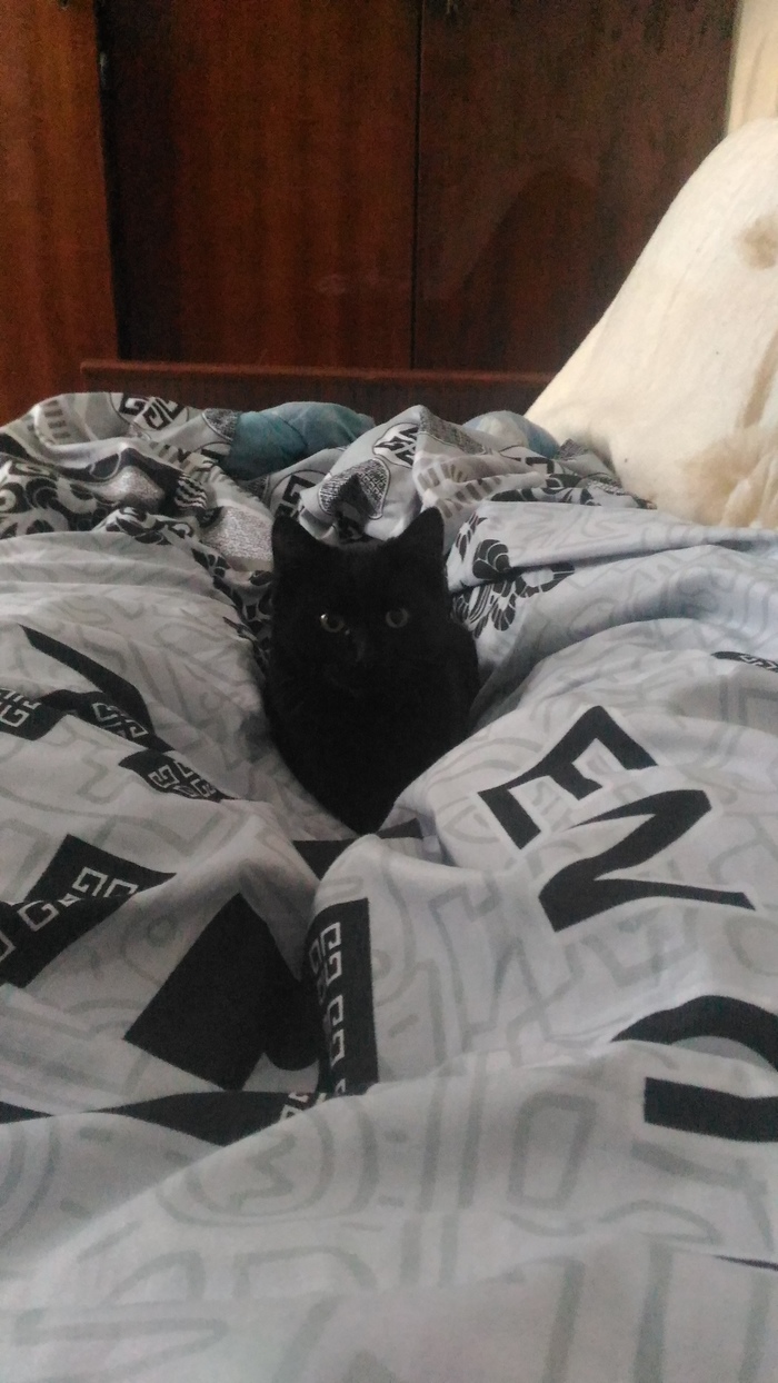 � ������ �����!