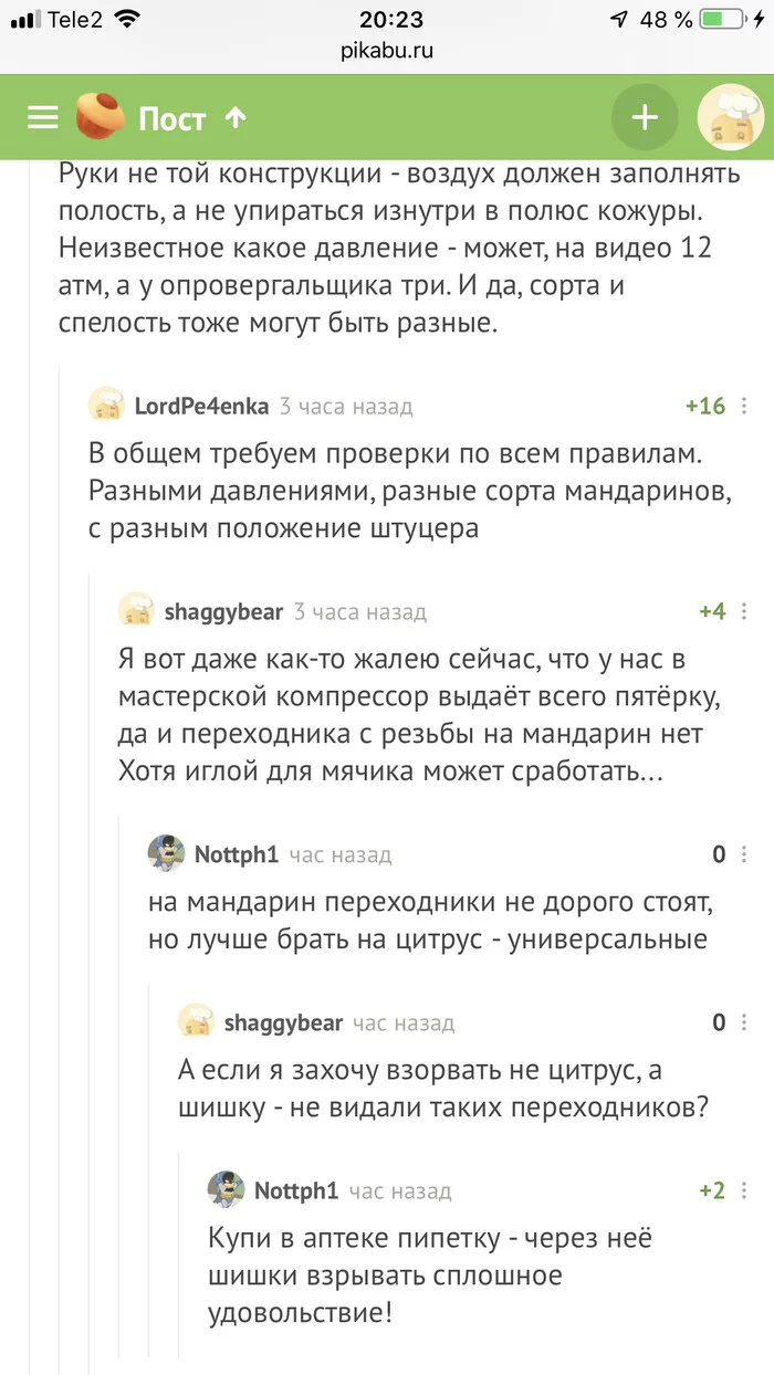 И опять про мандарин... - Мандарины, Компрессор, Чистка, Новый Год, Проверка, Скриншот, Комментарии на Пикабу