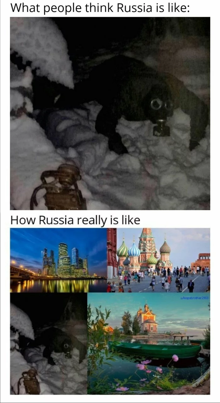 English memes about Russia - Английский язык, Мемы, Russia today