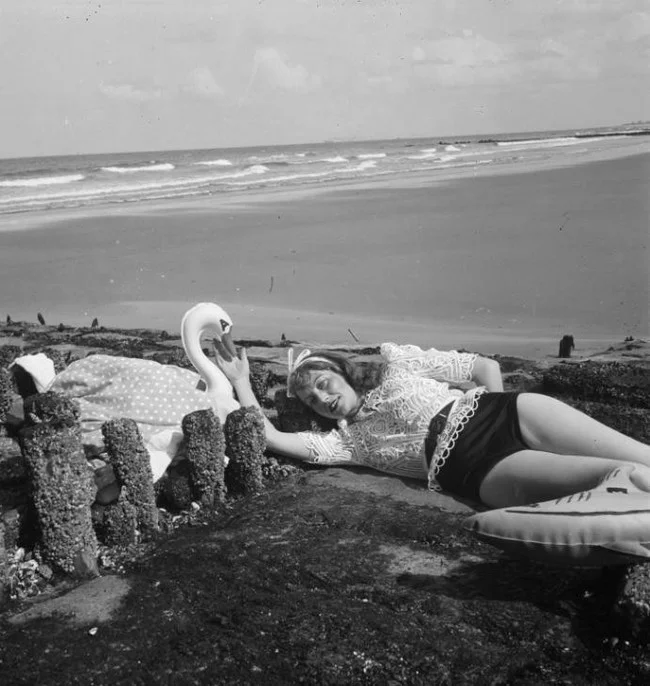 Artist with a plastic swan and a rubber shark - Beach, Artist, Rubber toy, Plastic, The photo