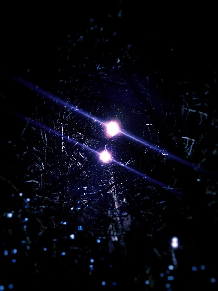 A little more mobile photography - My, I want criticism, Portrait, Mobile photography, Longpost