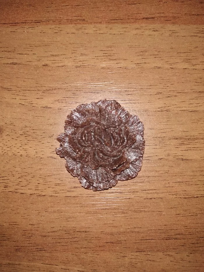 Brooches - My, Epoxy resin, Brooch, Cane, Longpost, Needlework without process