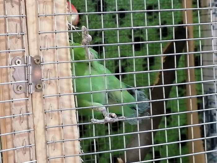     , , , , 