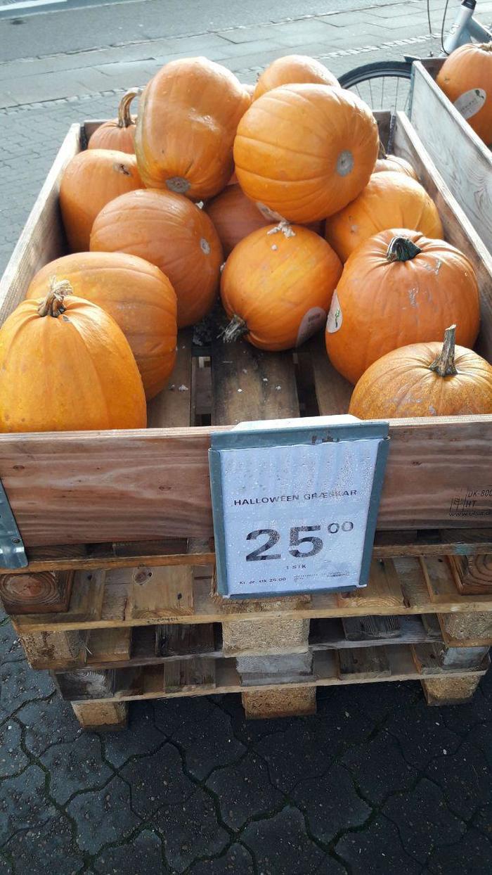 Жизнь в Дании, часть 2 Дания, Переезд, Длиннопост