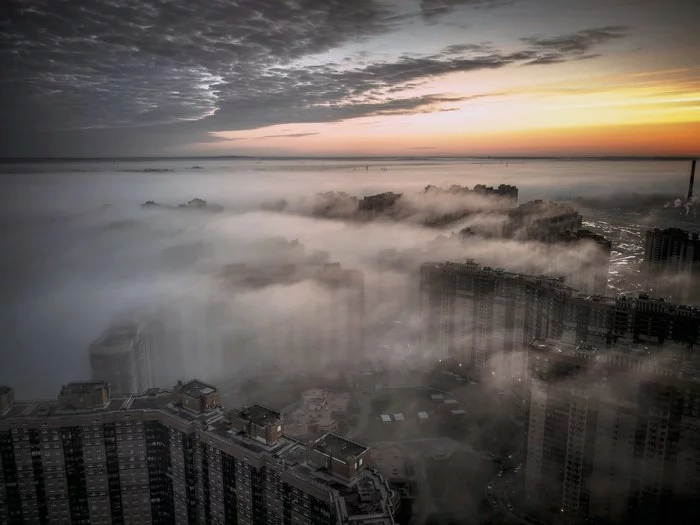 When the clouds get really low - My, Parnassus, Saint Petersburg, Quadcopter, DJI Mavic, Fog, The photo, Drone, Dji