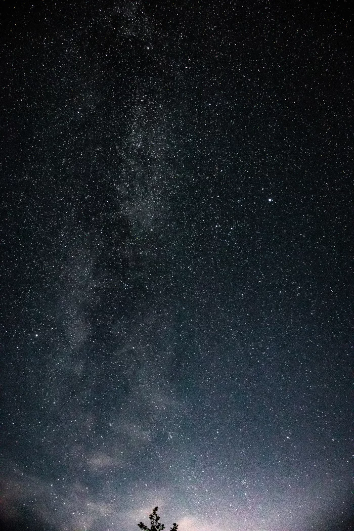 An endless heap of stars - My, Stars, Sky, The photo