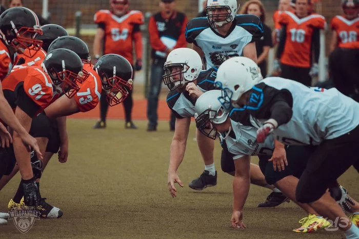 Eastern European Super League: positive expectations and possible difficulties - My, American football, Sport, Russia, Expectation, Amput, Longpost