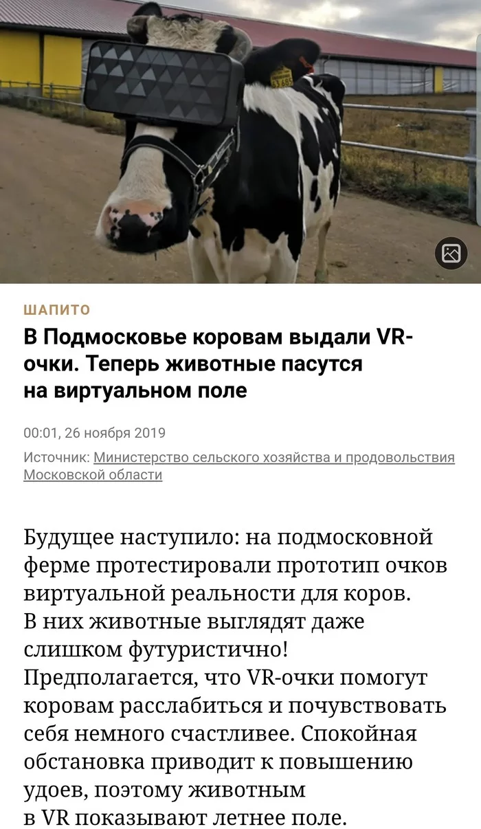 Cyberpunk 2077 - Моё, Корова, Виртуальная реальность, Длиннопост