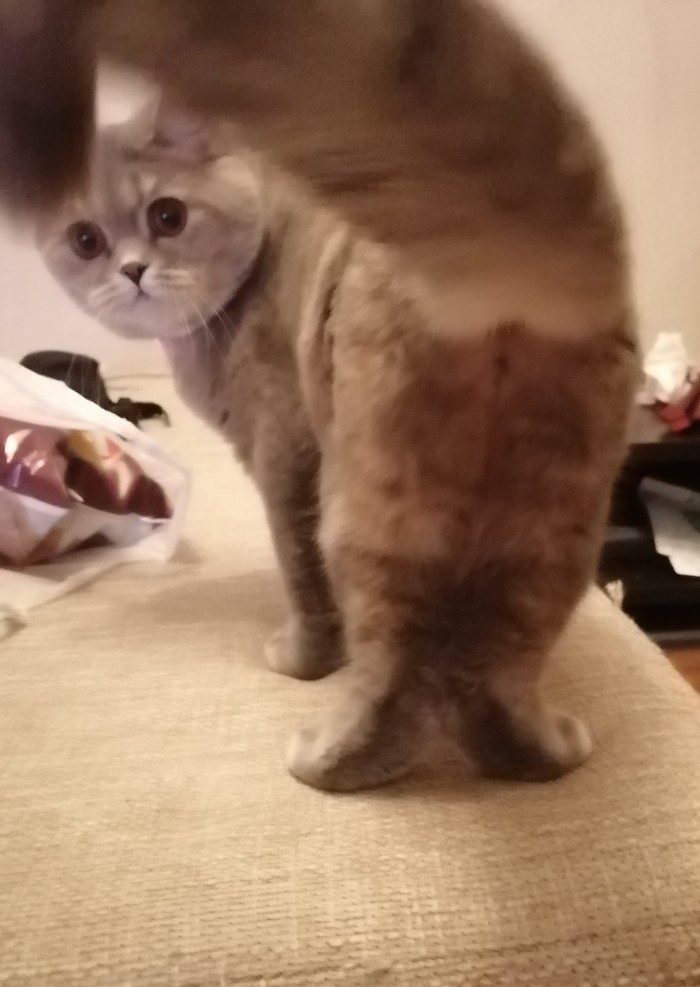  .  ? , , , 