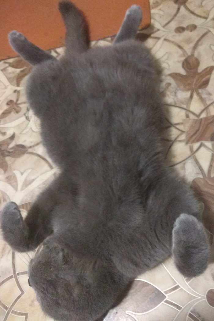    , , 