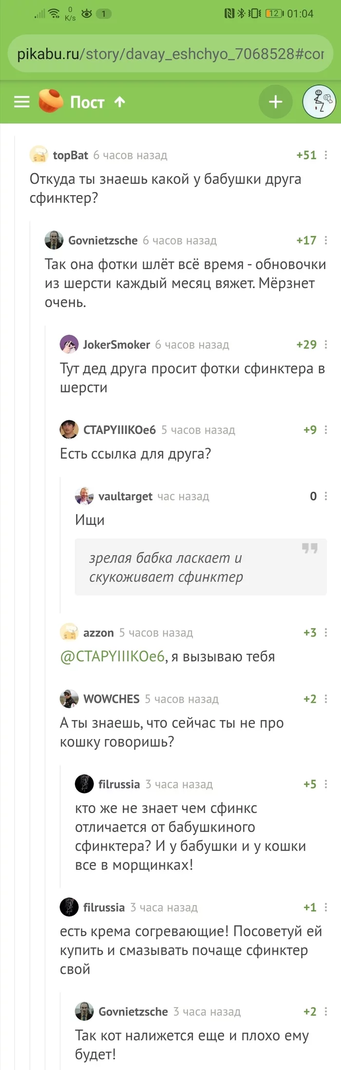 Бабушкин сфинктер - Комментарии на Пикабу, Сфинктер, Бабушка, CTAPYIIIKOe6, Длиннопост