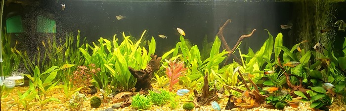 280 литров. Месяц после запуска.