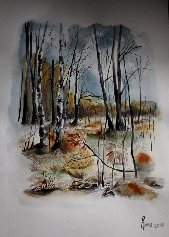 Forest, watercolor - My, Watercolor, Forest, Plein air, Drawing