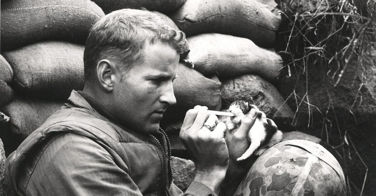 Какой берут на войну. Плачущий солдат Великой Отечественной. Советский солдат с котенком.