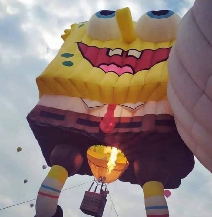  ,  ,  