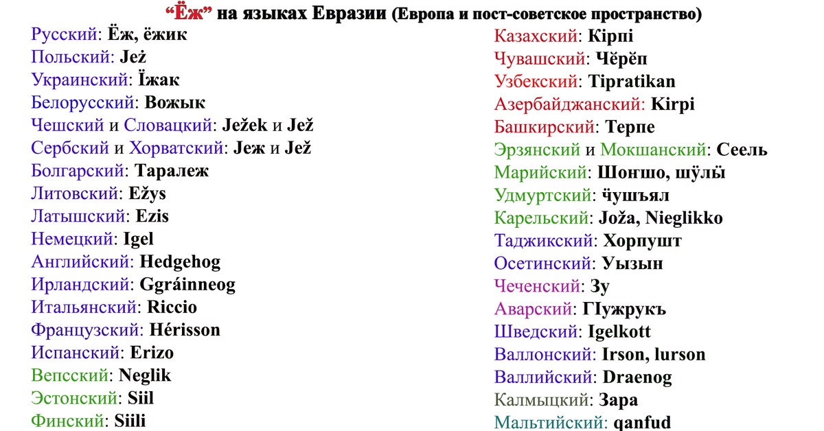 Переводится с разных языков. Ёжик на разных языках. Ежик на других языках. Ежик на узбекском языке.