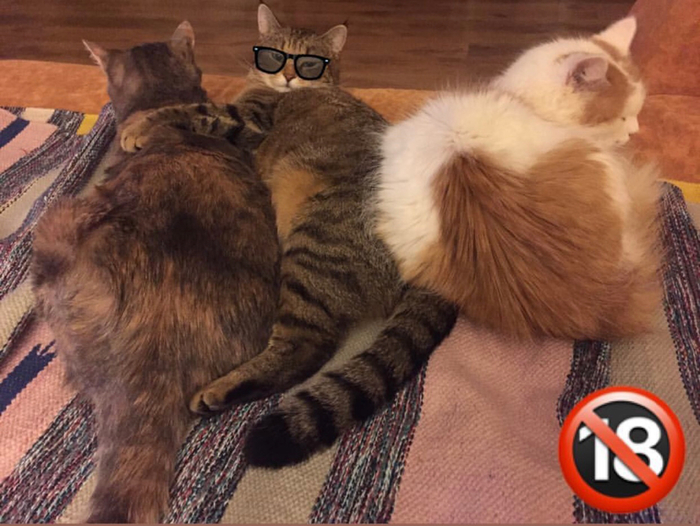 ��������