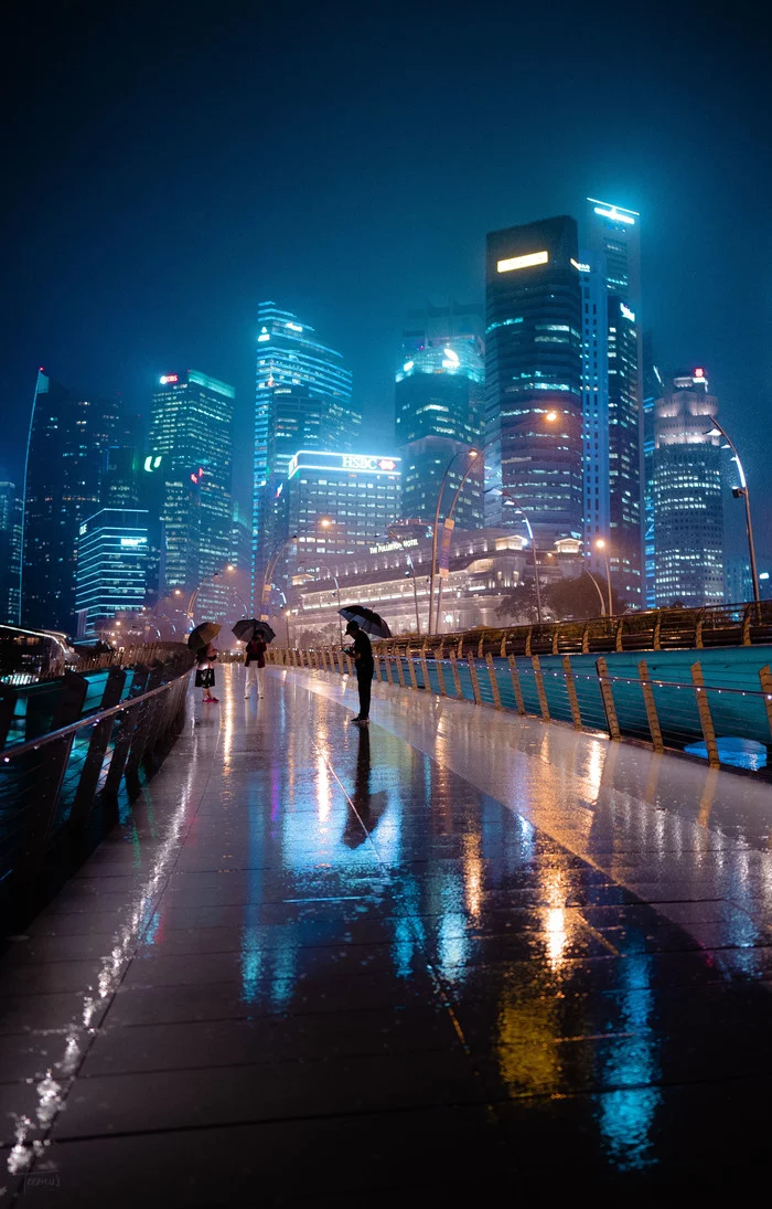 Rainy Singapore - The photo, beauty, Town, Night, Singapore