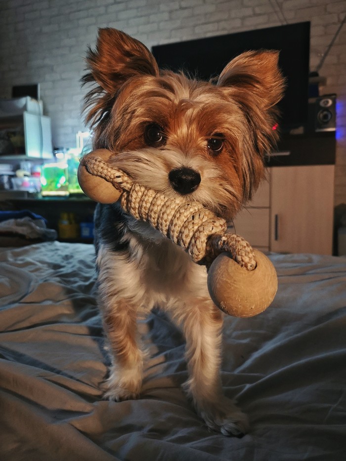   , ,  , -, 