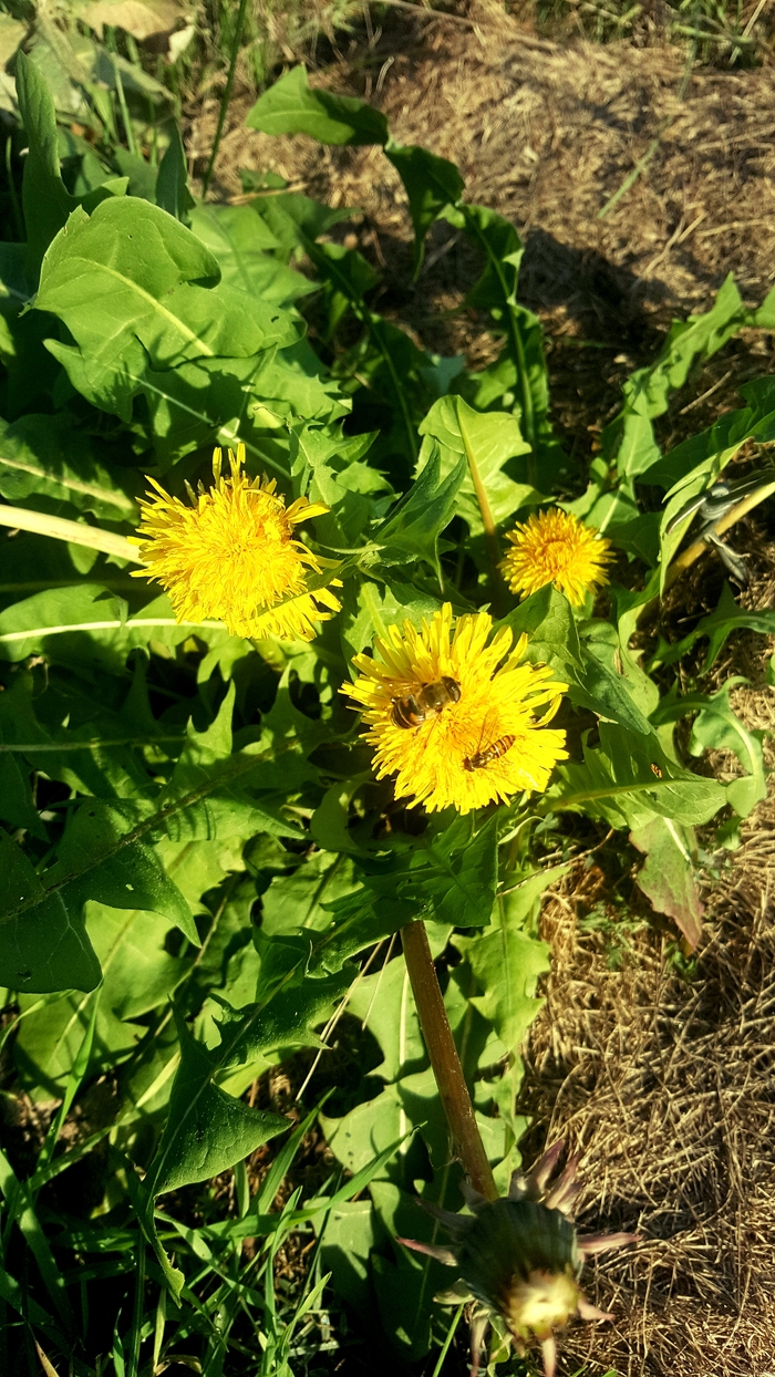 30 ������ � ������