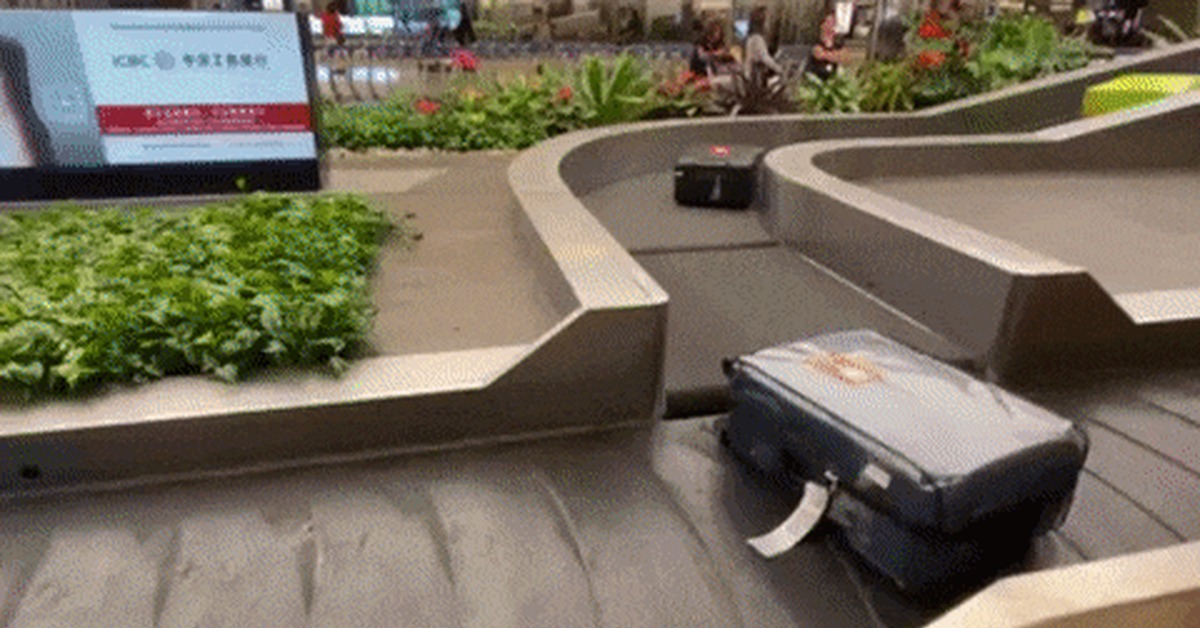 Miss me, I'm late - GIF, The airport, Baggage, Singapore, Conveyor