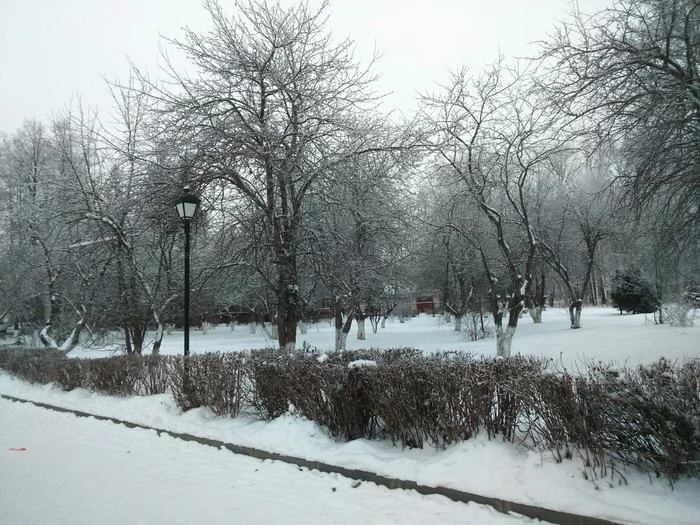 It's finally winter. December 1, 2019 - My, The winter is coming, Winter, The photo, Nature
