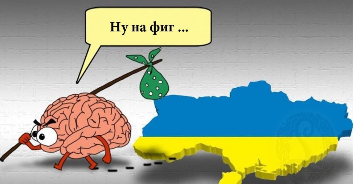 Хохлов уйдет. Мозг уходит с Украины. Мозг ушел. Мозг покинул Украину. Мозг карикатура.