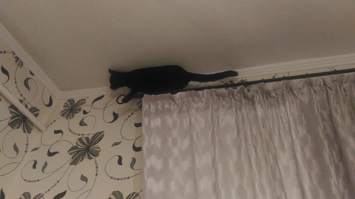 � ������ �� �����