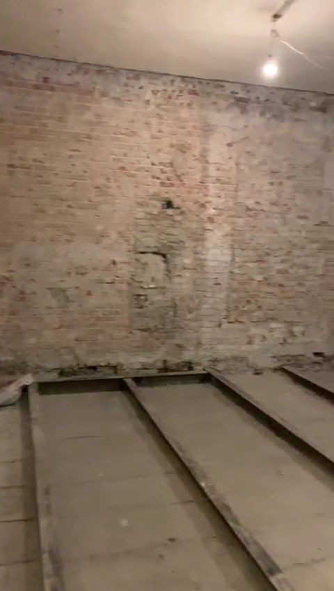 Dismantling completed - My, Saint Petersburg, Repair, Building, Longpost, Dog, Video