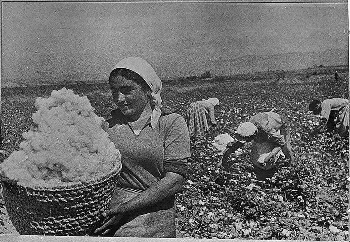 Cotton. British Empire. Basmachi - My, Tajikistan, Central Asia, Story, Falsification, Basmachi, Facts, the USSR, Great Britain, Longpost