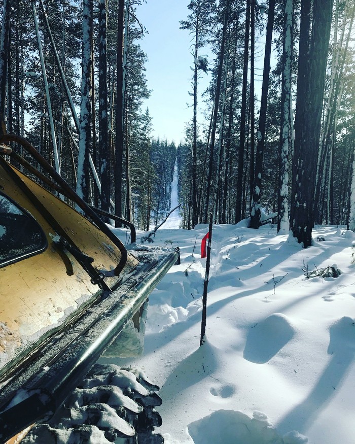 ���� ������ ������� ���������