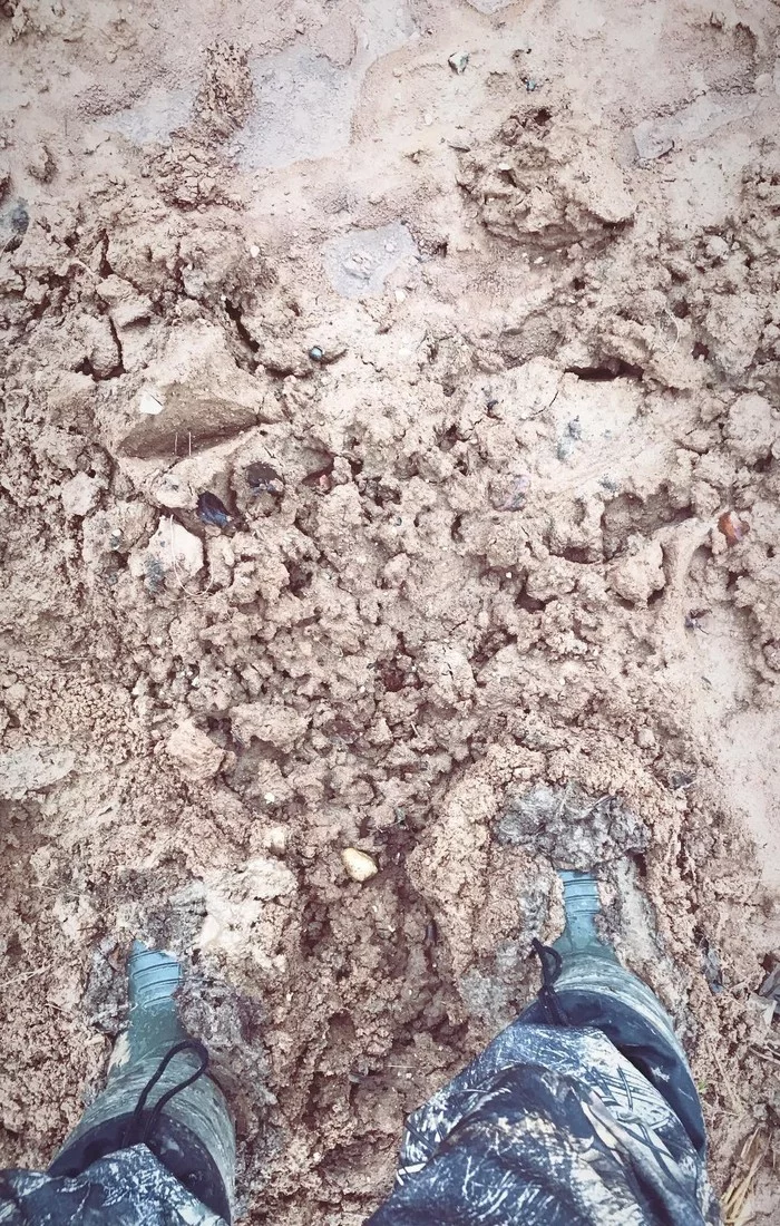 Therapeutic Vologda mud - My, Dirt, Clay, Boots, Pioneering, Geology, Longpost