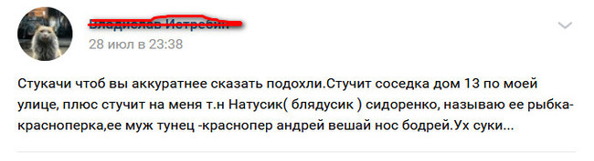 Лишь бы настучать, так и живём! часть 2 - Стукач, Гражданская позиция, Длиннопост