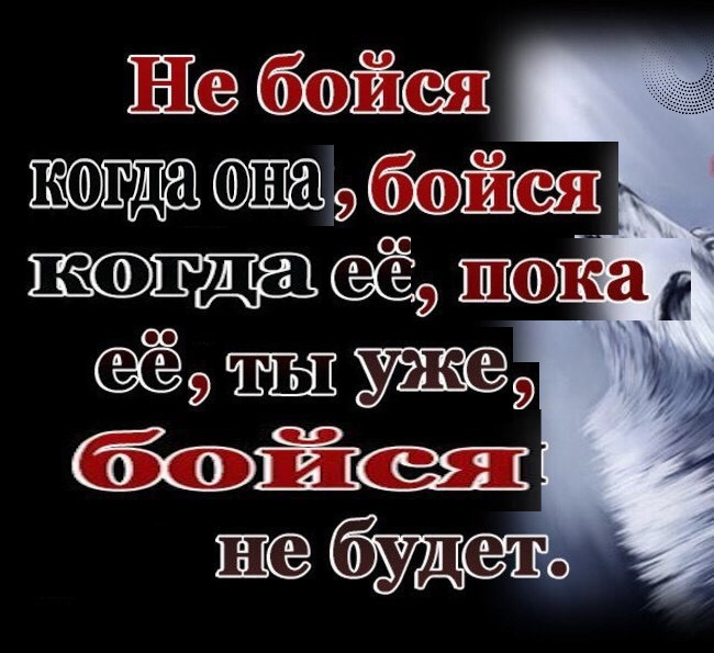 Soul of the Wolf! - My, Wolf, Quotes