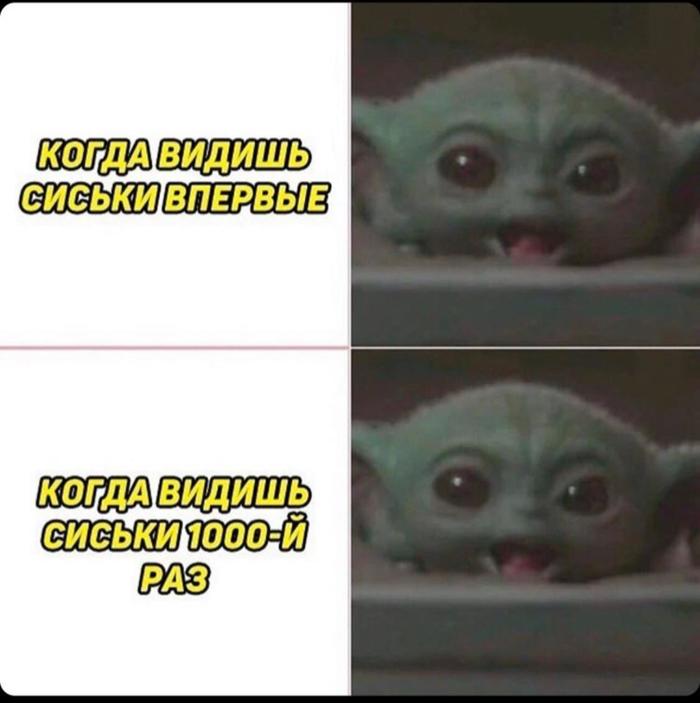 1000  , , 