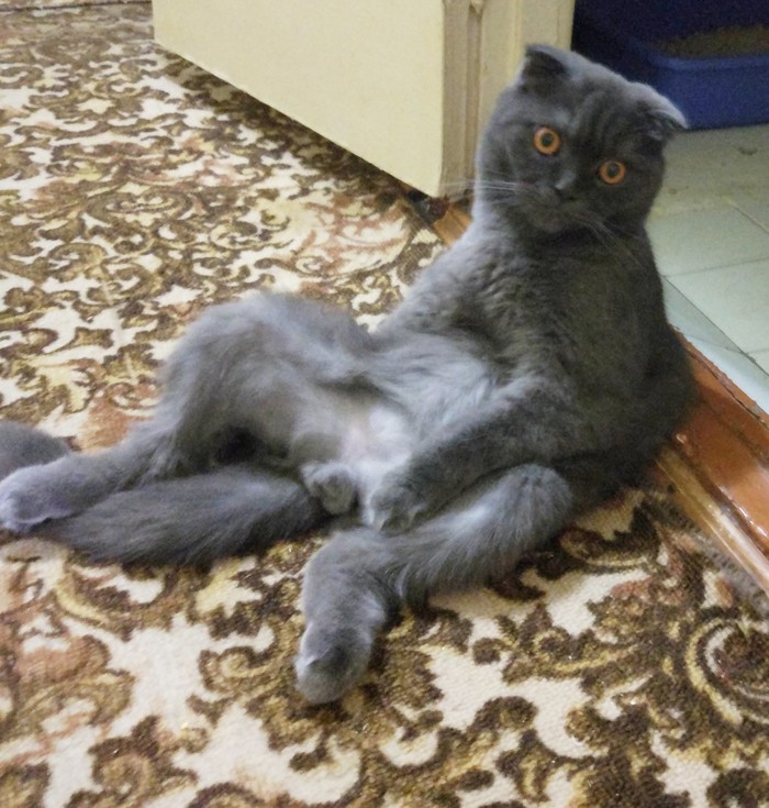 Трудно подобрать слова...