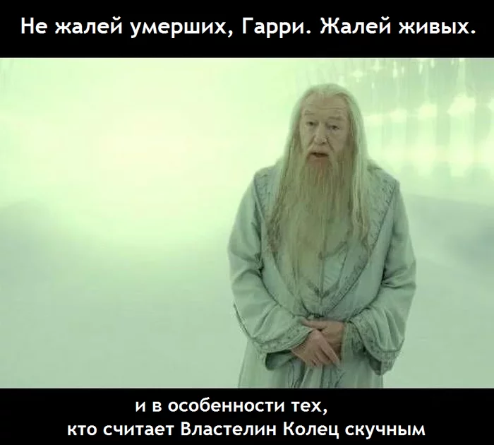 Professor Dumbledore is right as always - Lord of the Rings, Albus Dumbledore, Translated by myself