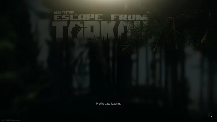 Tarkov, day one - My, Escape From tarkov, Longpost, Yandex Zen, IMHO